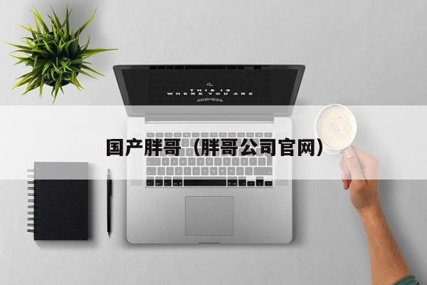 国产胖哥（胖哥公司官网）