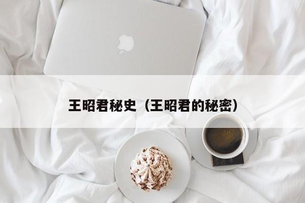 王昭君秘史（王昭君的秘密）